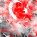 Ay Yıldızın Hikâyesi