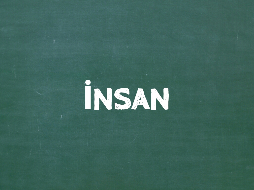 insan