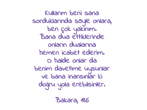 Bakara Suresi 