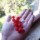 Frenk Üzümü (Johannisbeeren)